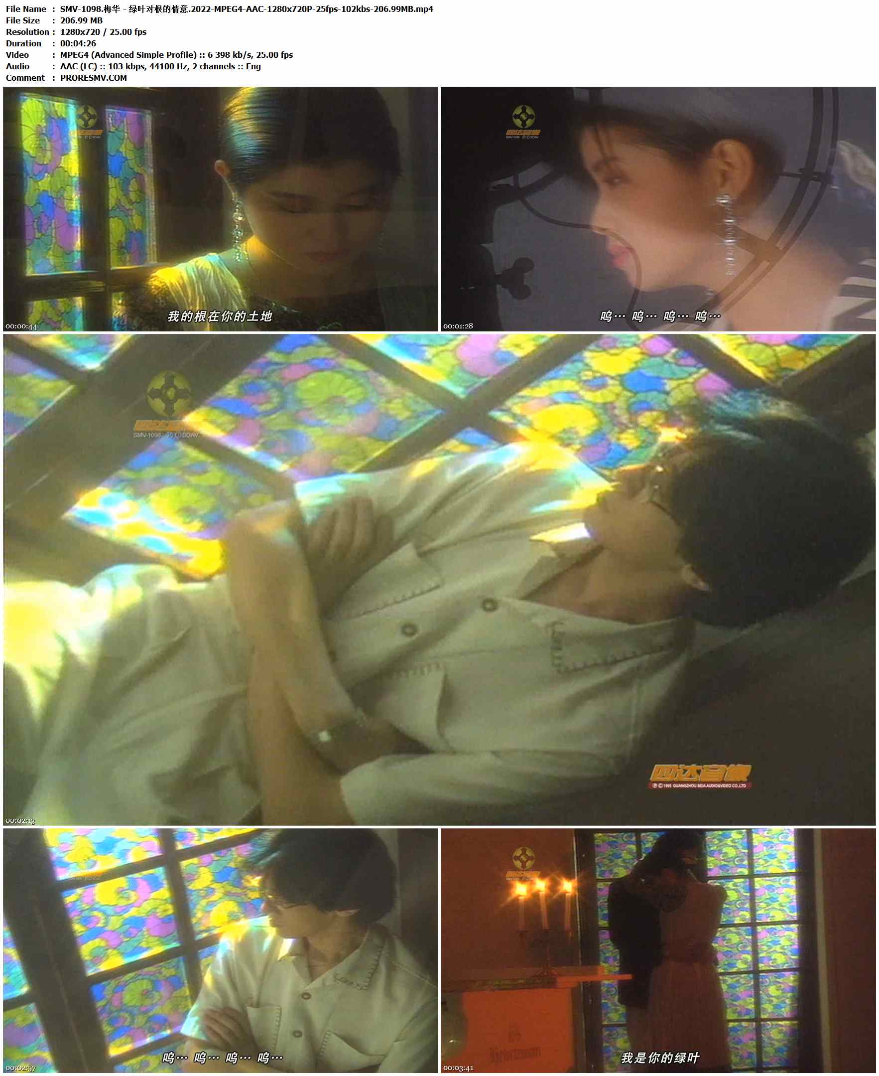 SMV-1098.梅华 - 绿叶对根的情意.2022-MPEG4-AAC-1280x720P-25fps-102kbs-206.99MB官方MV_高清MV